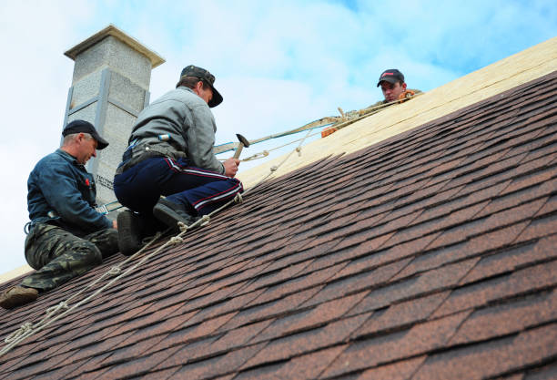 Best Roof Repair Services  in Elmwood, IL